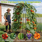 Miory Garden Arch Trellis for Climbing Plants Outdoor, Metal Plants Support - Image 8