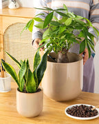 vancasso 6+8+10 inches Ceramic Plant Pots, Planters - Image 8
