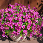 Artificial Flowers for Outdoors, UV Resistant Fake Silk Morning Glory, - Image 3
