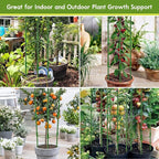 Riare 8 Pack 4 FT Tomato Cages for Garden- 48inches Heavy Duty Garden Stakes - Image 7