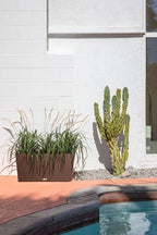 Veradek Pure Series Midori Trough Planter - Image 8