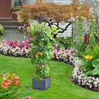 GENMOUS 4 Tiered Tomato Planter - Image 8