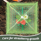 4 Sets Strawberry Plant Support - Image 5