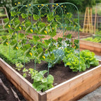 Cucumber Trellis, Foldable Trellis Cucumber - Image 6