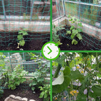 Trellis Netting for Climbing Plants - Image 4