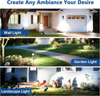 Solar Lights Outdoor Waterproof IP65, 6500K Super Bright LED, 2 Lighting Modes - Image 6