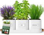 volila Herb Planter Indoor by volila