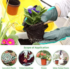 TDHDIKE 4" Small Plastic Plant Nursery Pot/Pots Seedlings Flower Plant - Image 6