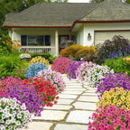 Bassion Artificial Flowers for Outdoors, 24 Bundles UV Resistant Fake Flowers - Image 6