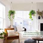 10 Inch Hanging Planters for Indoor Plants, 2 Pack Self Watering Hanging - Image 3