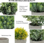 Fake Plants, 5 Pack Artificial Eucalyptus & Greenery in Cement Pots - Image 7