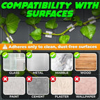 100Pcs Clear Plant Clips for Climbing Plants Indoor - Image 3
