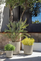 Veradek Demi Series Set of 3 Round Planters - Image 5