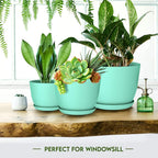 Utopia Home - Plant Pots Indoor - 7/6.6/6/5.3/4.8 Inches Flower Pots - Image 6