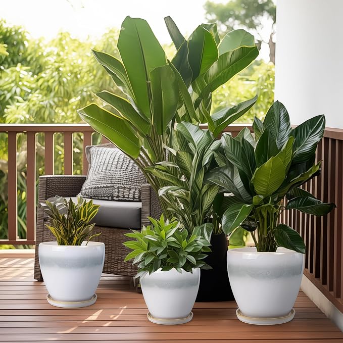 Ceramic Pots for Plants - Image 5