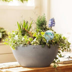 Clear Plant Watering Globes Set of 6 - Image 2