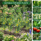 Cucumber Trellis for Raised Bed - Image 7