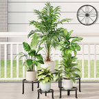 5 Pack Metal Potted Plant Stand Small Short Flower Pot Holder by Unknown