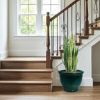 Sunnydaze Large Ceramic Plant Pot - Image 8