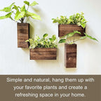 LaLaGreen Wood Planter Box for Plants Wooden Hanging Wall Planters for Indoor - Image 4