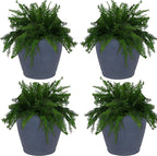 Sunnydaze 24-Inch Anjelica Large Plastic Pot by SunnydazeDecor