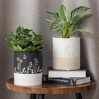 Nihow Self Watering Plant Pot: 6 Inch Ceramic Planter - Image 5