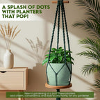 Utopia Home - Spotty Plant Pots Indoor - 7/6.6/6/5.3/4.8 Inches Flower Pots - 5 - Image 2