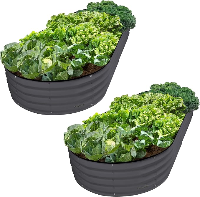 Plant & Plot Galvanized Raised Garden Beds Outdoor // 8×4×1 ft Planter Raised by PlantPlot