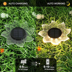 Roaming Acrylic Petal Bury Light 3-Pack Suitable - Image 3