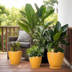 10 Inch Plant Pot - Image 7