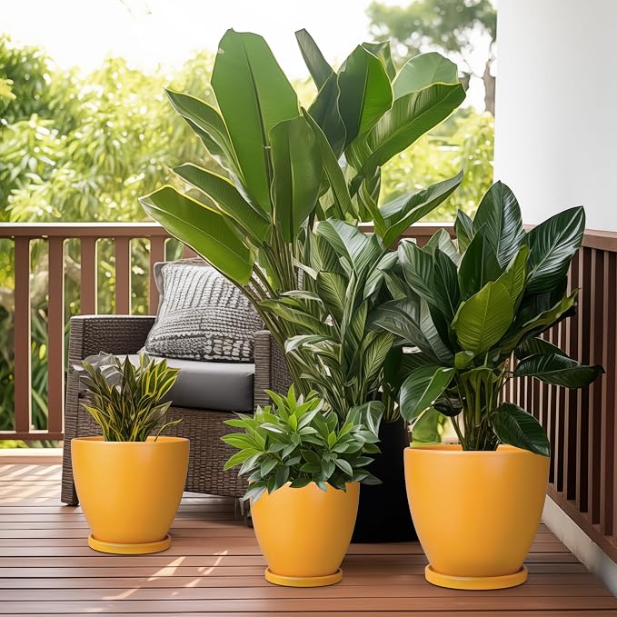 Ceramic Plant Pot - Image 7