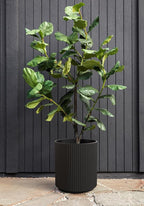 Veradek Mason Series Demi Planter - Image 4
