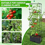 2 Packs Raised Garden Bed Tomato Planter Box - Image 6