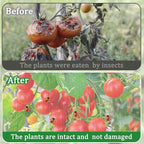 2 Pack Garden Netting for Raised Beds, 37.4" x 19.6" x 19.6" Garden Bed Insect - Image 4