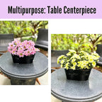 LaLaGreen Rail Planter Outdoor Plants Black Metal Iron Hanging Flower Pots Deck - Image 9
