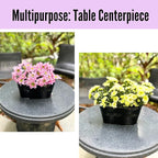 LaLaGreen Rail Planter Outdoor Plants Black Metal Iron Hanging Flower Pots Deck - Image 8