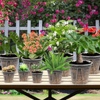 5 Set 7 Inch Transparent Plastic Garden Pots - Image 7