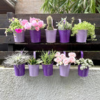 LaLaGreen Hanging Planter Outdoor by L%C3%A1L%C3%A1Green