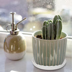 Plant Saucer, 7 Pack 8 10 12 14 15 Inch Durable Plastic Plant Trays - Image 7