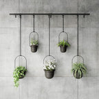 Umbra Triflora Hanging Planter for Window, Indoor Herb Garden - Image 7