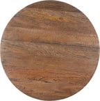 Safavieh Home Collection Whent Coastal Honey Brown Wash and Black Round Coffee - Image 4