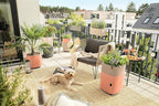 Lechuza 15683 Balconera Color 80 Self-Watering Planter - Image 5